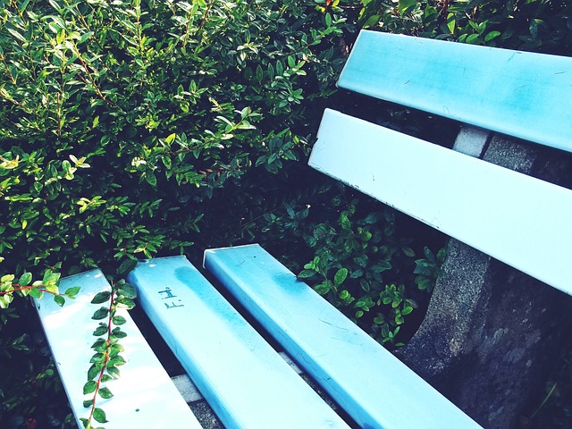 比赛埋下了 比赛埋下了