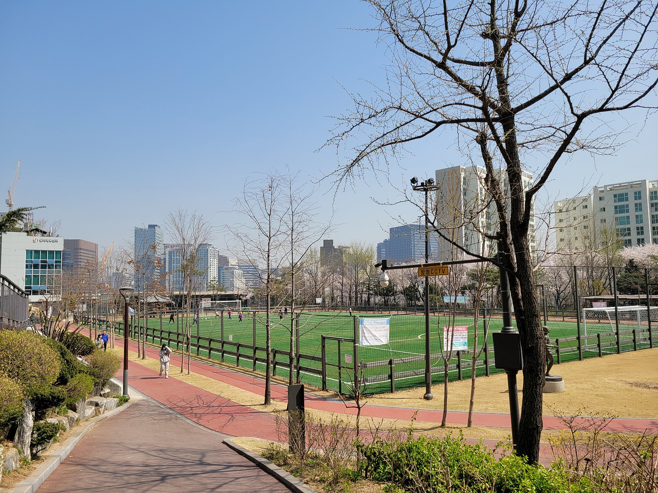 海的小伙子 海的小伙子