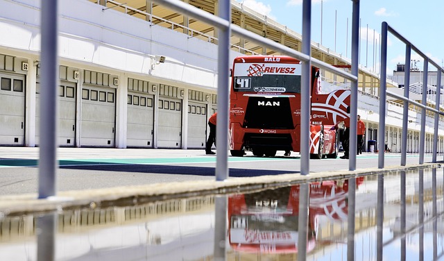 这位新援不 这位新援不